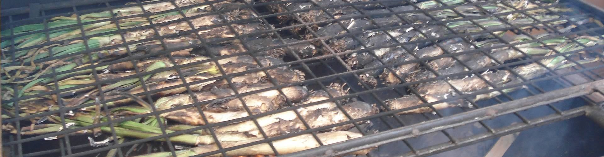 Pruebe nuestro popular menú de 'Calçotada'